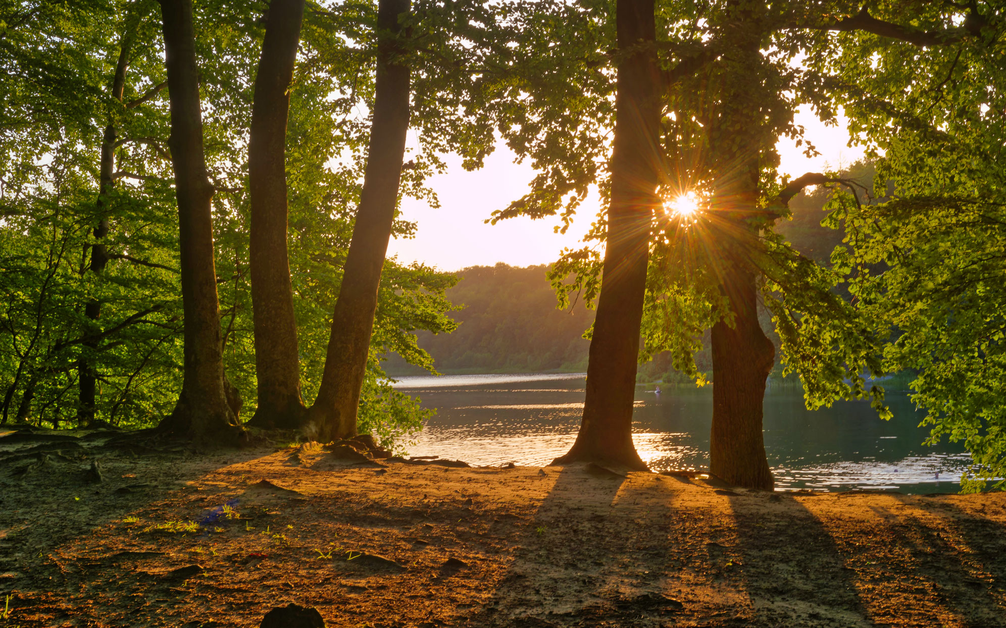 Wohnen zwischen Wasser, Grün und Stadt. 